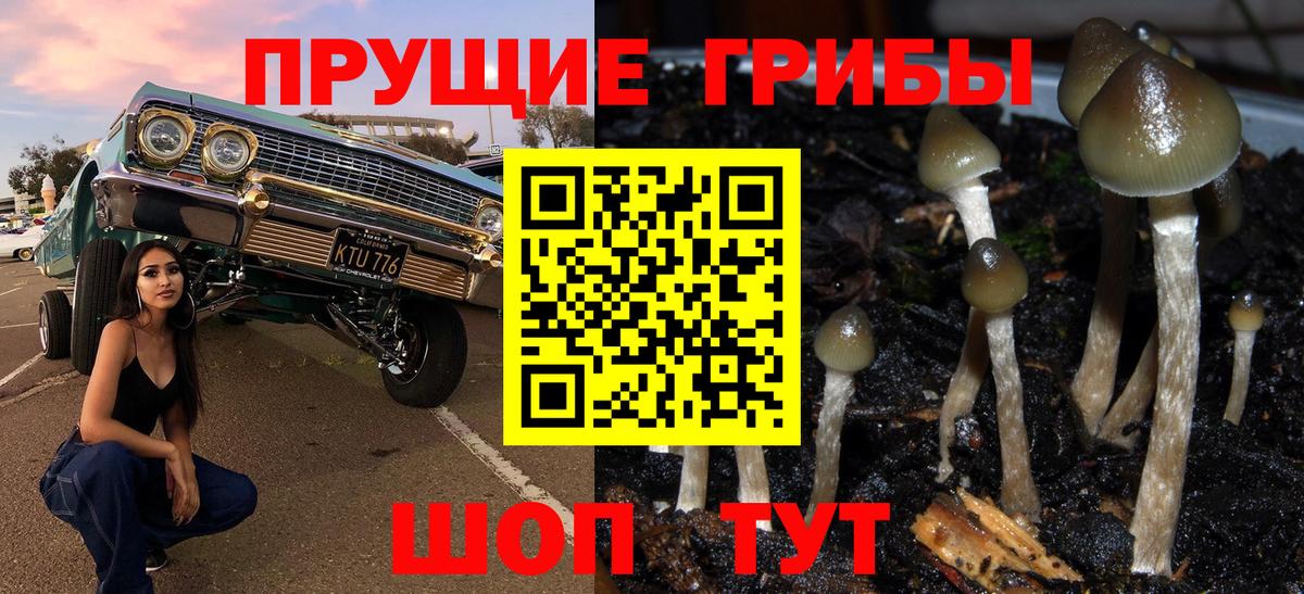 Псилоцибиновые грибы Magic Shrooms  Галлюциногенные грибы Psilocybe  Касимов  Вход с VPN 
